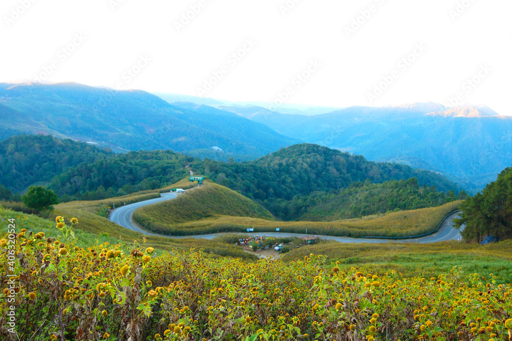 Obraz premium Abstract Background of Sunrise Landscape nature of golden mountain by Mexican sunflower field name Tung Bua Tong in Maehongson (Mae Hong Son),Thailand