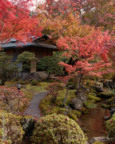 Beautiful Autumn Leaves in Kyoto Japan