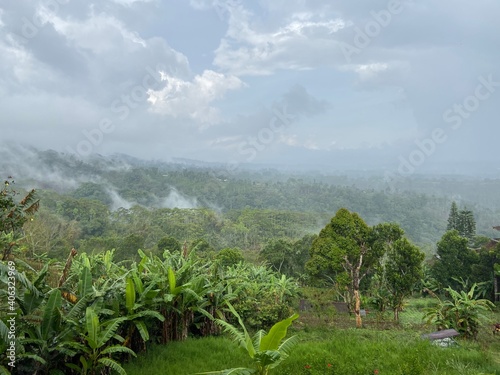 bali jungles after rain 