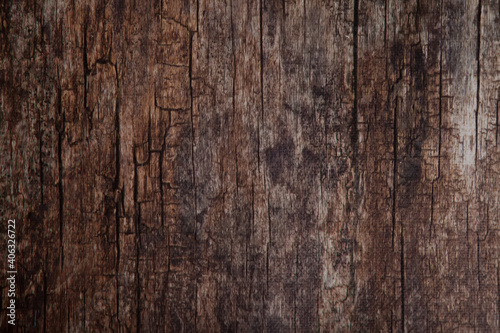 Close-up photographic background of wooden surface. Large space for artwork, lettering or logo. Copy space for site or banner