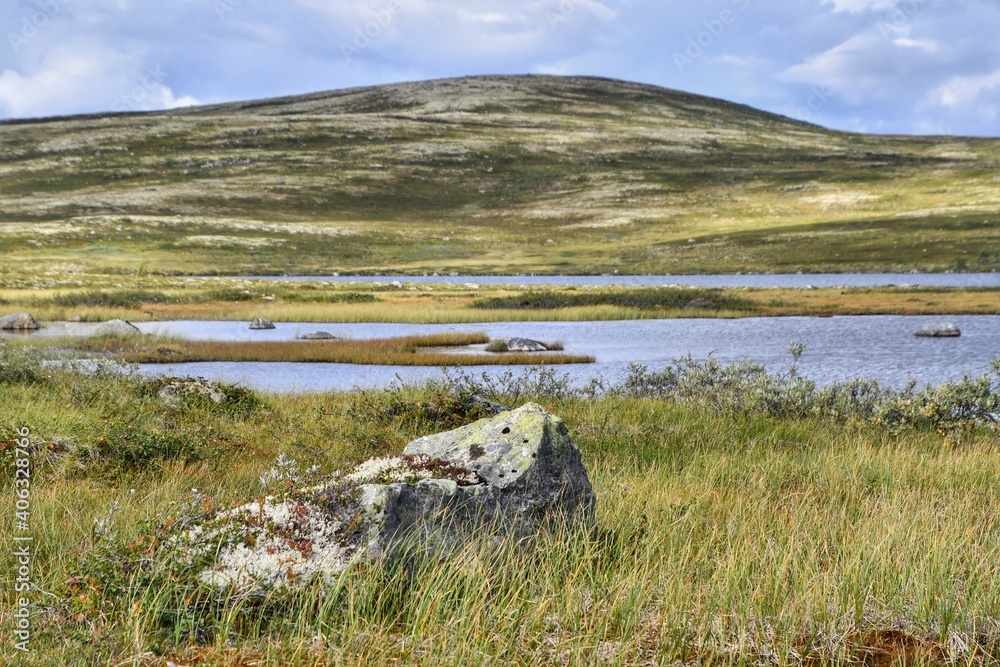 Stone and swamps in Russian tundra