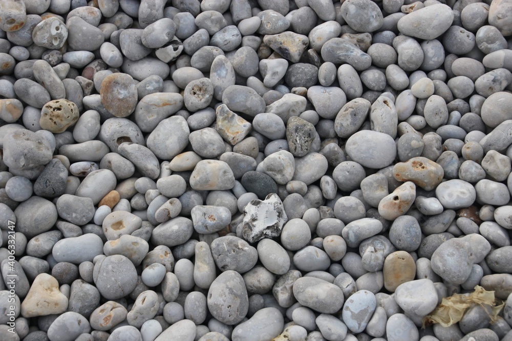 Sea Shells and Rocks
