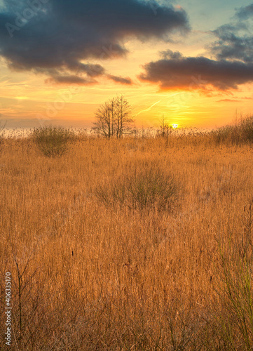 A view of a marsh filled with reeds by a lake with an amazing sunset in the background. Picture from Lund, southern Sweden