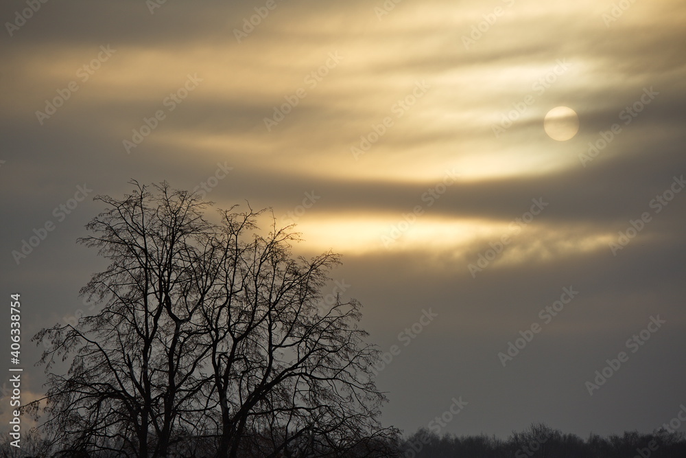 Fototapeta premium Cold sun in the winter cloudy sky.