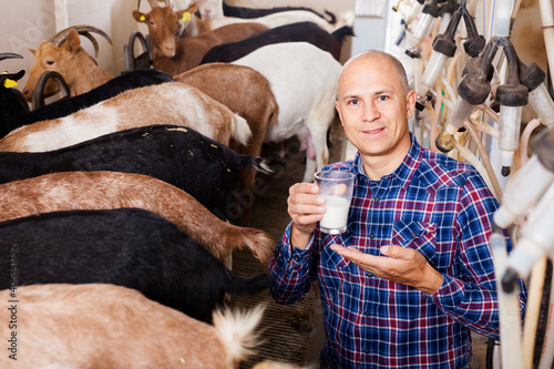Confident smiling owner of goat farm approvingly demonstrating goat milk in milking shop..