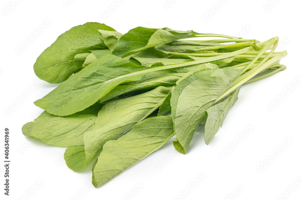 Choy Sum or Chinese Cabbage isolated on white background Choy Sum or Chinese Cabbage isolated on white background