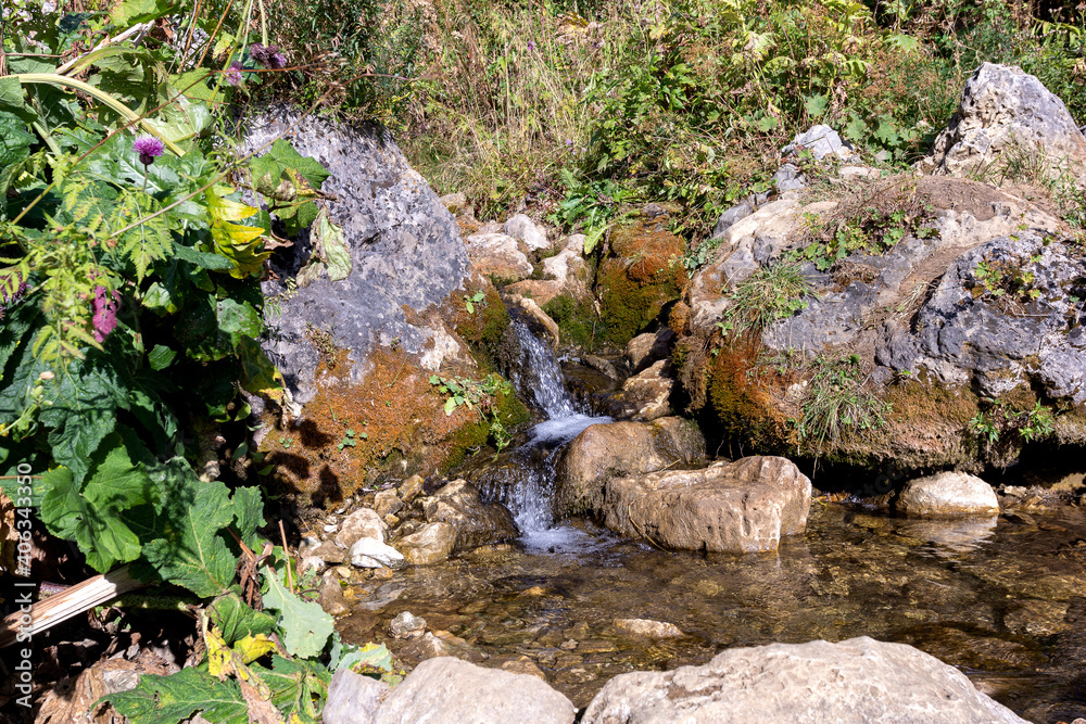 Springs, primary sources, the beginning of mountain and other rivers, a small stream among rocks in the summer.