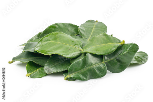 Bergamot leaf isolated on the white background. Herbs with Essential Oils Aromatherapy