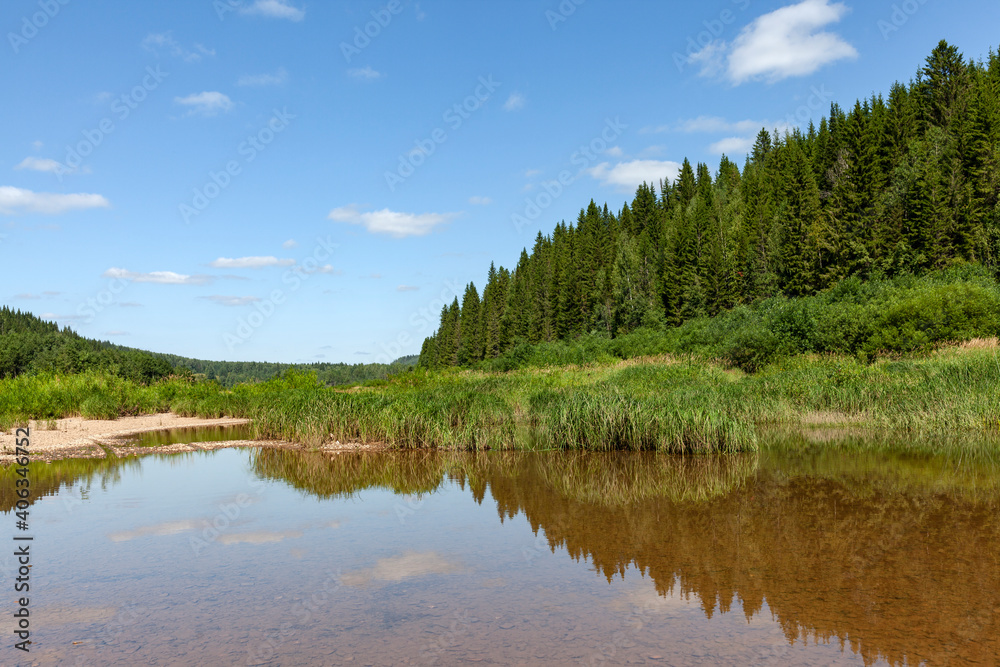 Obraz premium Lake and forest