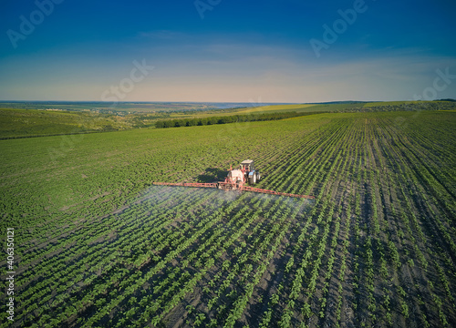 Young sunflower plants in field spraying, agriculture in spring, tractor with equipment Aerial view.