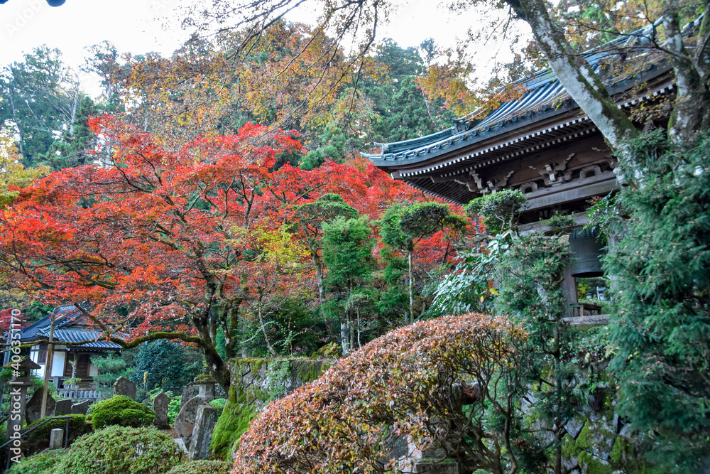 temple in autumn