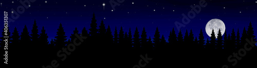 Panoramic illustration of trees and full moon at night