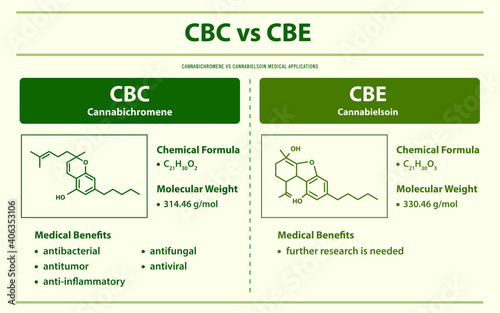 CBC vs CBE, Cannabichromene vs Cannabielsoin horizontal infographic illustration about cannabis as herbal alternative medicine and chemical therapy, healthcare and medical science vector.