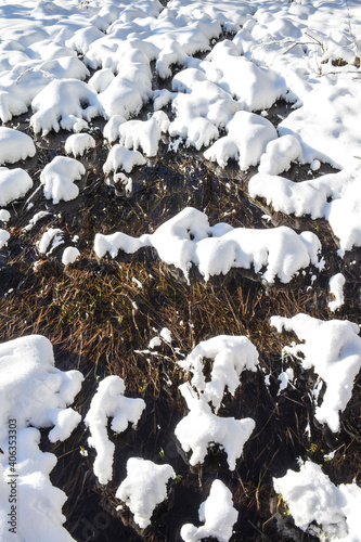 Belgique Wallonie Gaume Habay hiver bois foret nature lac neige