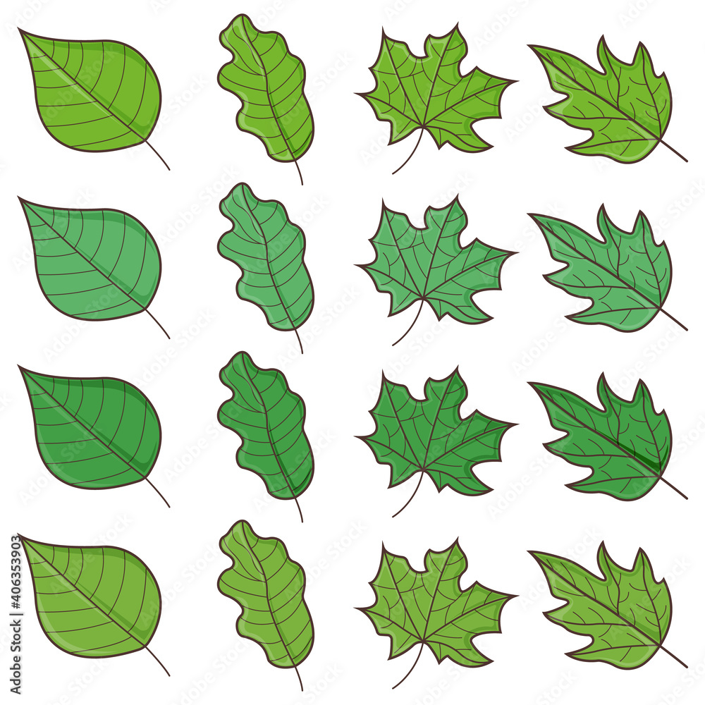 Set of green concept leaf icon, badge, spring sheet and tree blooming symbol, flat vector illustration