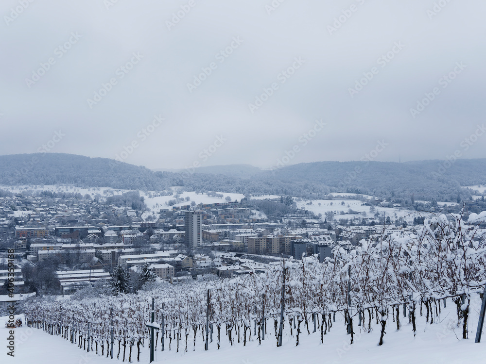 Schneelandschaft um Lörrach Stadt vom Tüllinger Weinberg , Blick auf Ost- und Nordbezirk 