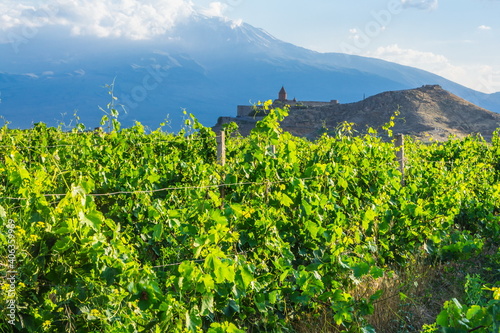 panoramic view of Ararat Valley