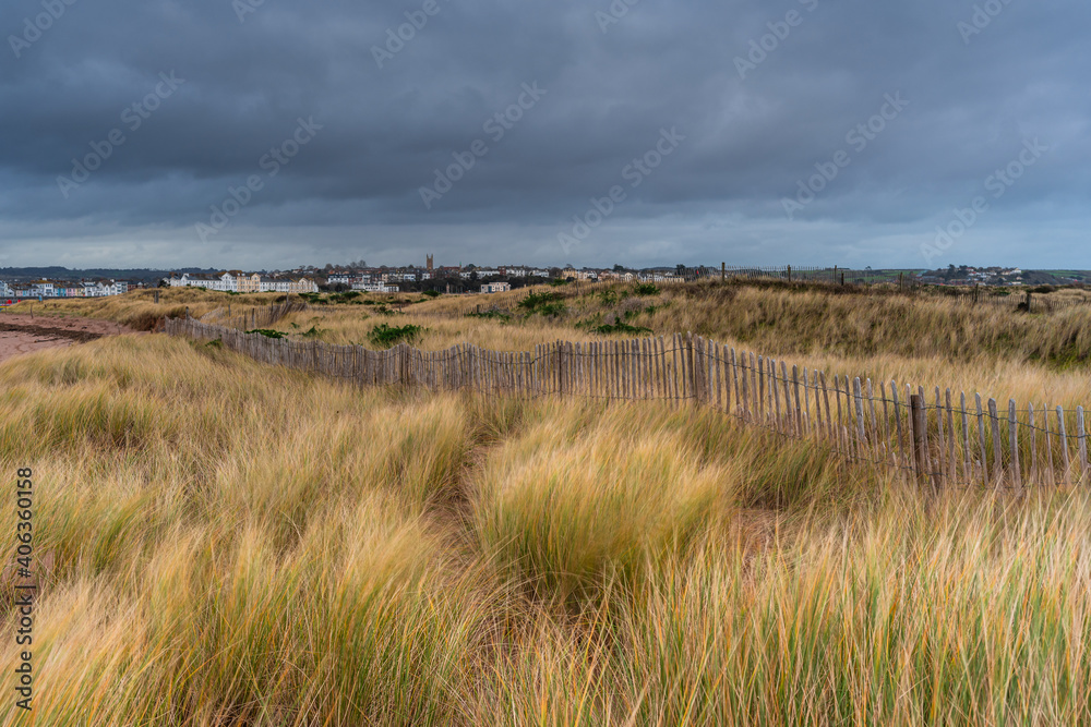 Dunes in Dawlish Warren Spit, Devon, England, Europe