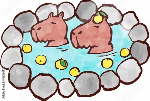 カピパラ2匹、ゆず湯に入る