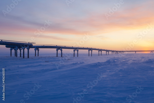 Gas pipelines  pipes for gas and oil transportation  oil and gas industry  gas and oil fields in the far north  gas pipeline in winter at sunset