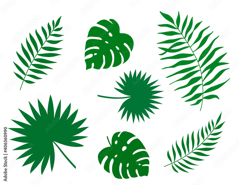 Set of green tropical leaves palms, trees. Silhouettes of exotic tropical leaves - coconut, Monstera Deliciosa, fan palms, fern. Hand drawn summer elements Isolated on white background. Vector flat.