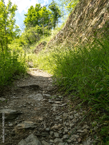 Wanderweg bei St. Goar