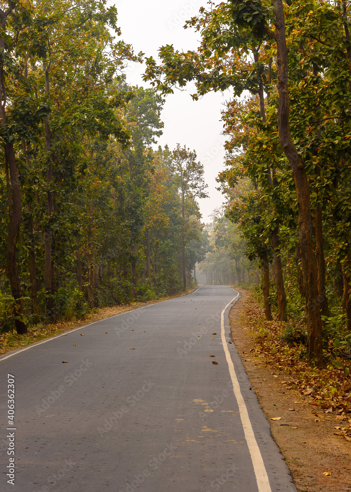 Indian State Highway with forest surrounded. Indian State Highway with forest surrounded.