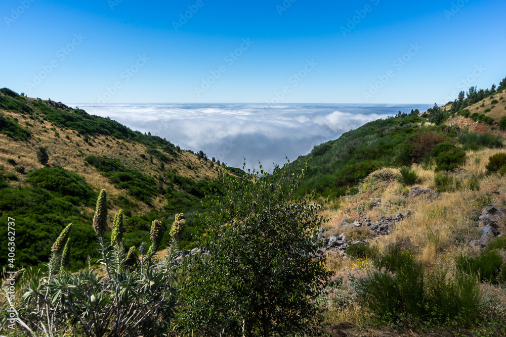 High altitude hills with cloud cover below, Madeira Island