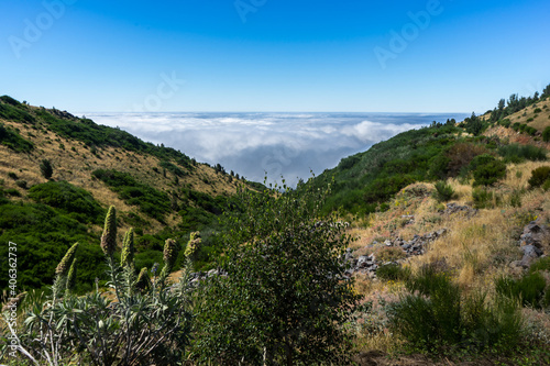 High altitude hills with cloud cover below, Madeira Island