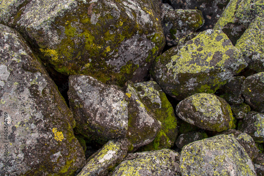 The texture of the stone is covered with green lichen. The surface of an old stone.
