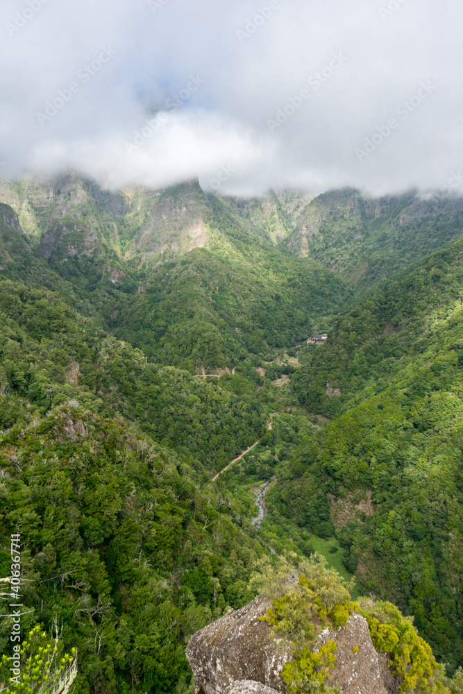 Mountain rainforest Valley view from Balcoes Levada, Madeira IslandMountain rainforest Valley view from Balcoes Levada, Madeira Island