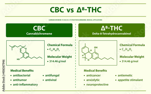 CBC vs ∆8-THC, Cannabichromene vs Delta 8 Tetrahydrocannabinol horizontal infographic illustration about cannabis as herbal alternative medicine and chemical therapy, healthcare and medical vector.