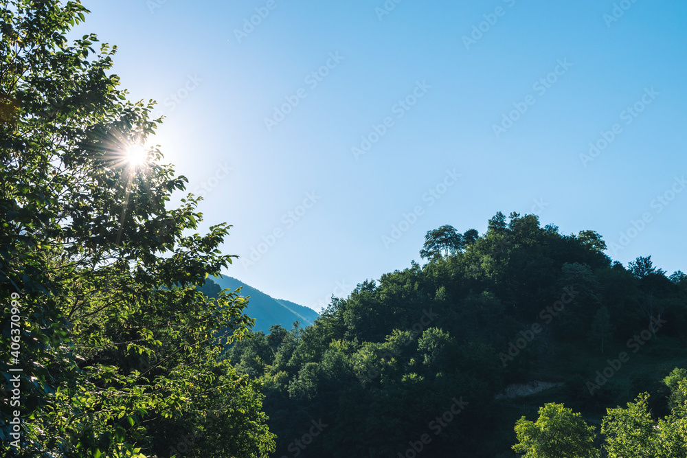 Obraz premium trees and sky