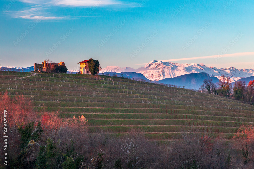 Winter sunset in the vineyards of Collio Friulano
