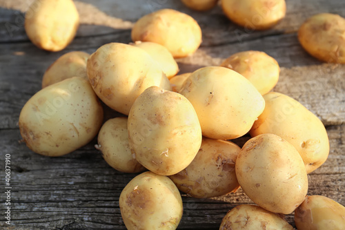 Young potato close-up on wooden background