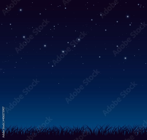 Blue dark night sky with lot of shiny stars and grass ground silhoutte background