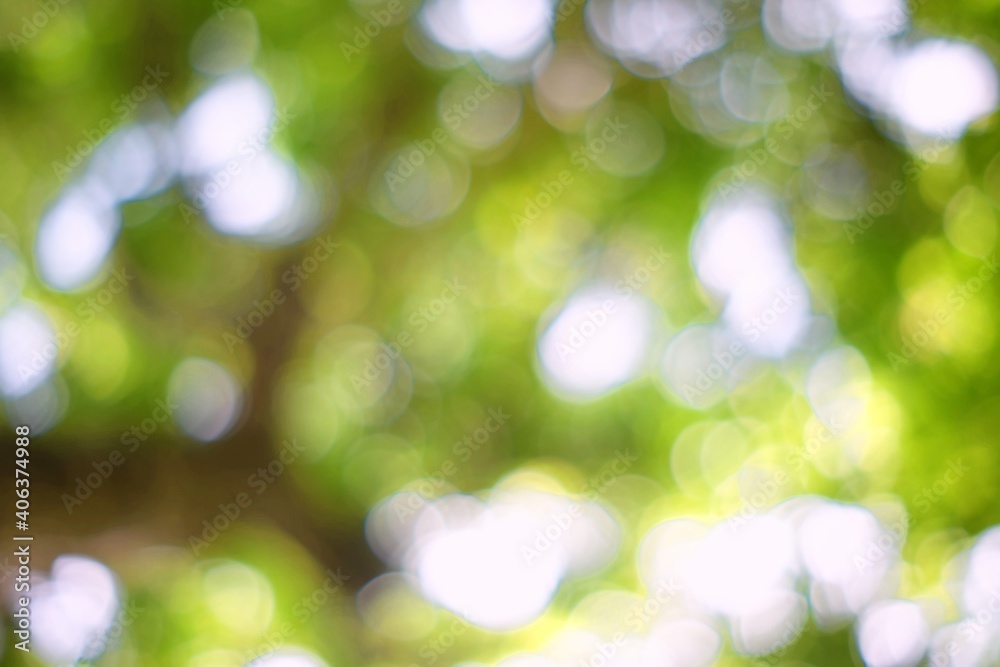 Abstract Green Bokeh Background in the Garden, Suitable for Natural Concept. Abstract Green Bokeh Background in the Garden, Suitable for Natural Concept.