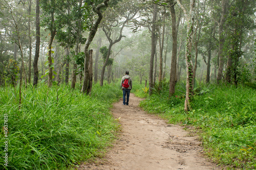 Blurred alone travel man walking on path in rain forest.