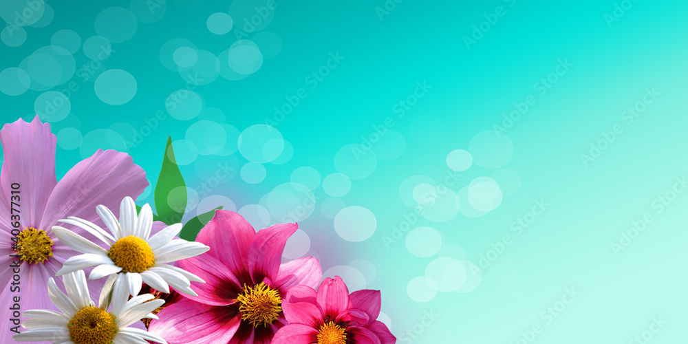 fiori di primavera fiori di primavera