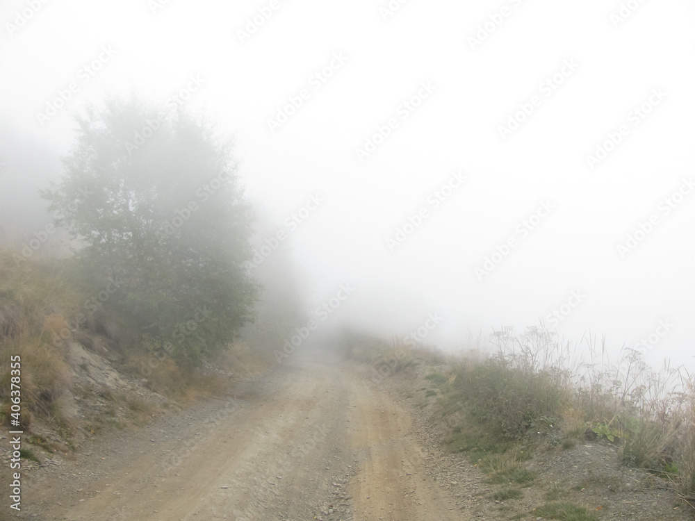Mountain road among trees in white fog. Dull. The abyss.