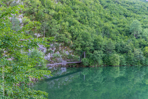 bridge over the river