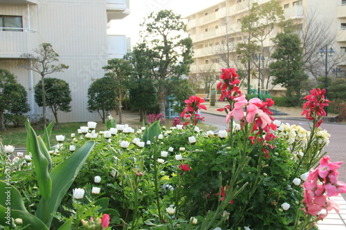 花壇のあるマンション（3月）