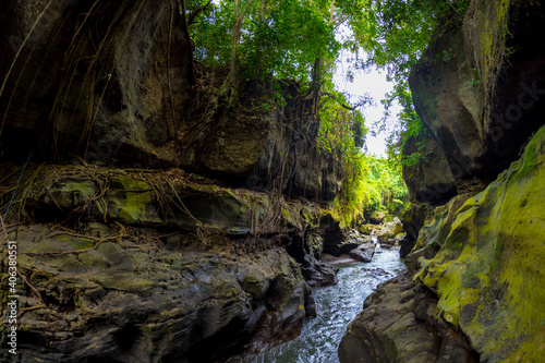River flowing through jungle at the Hidden Canyon Beji Guwang