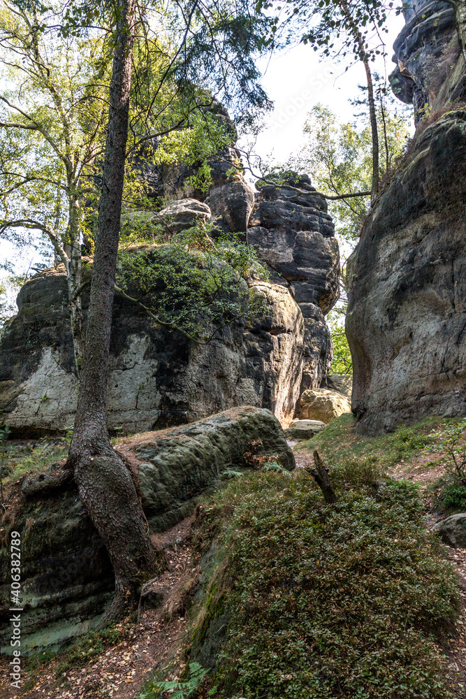 Wandern im Elbsandsteingebirge