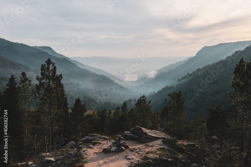 Fototapeta Naklejka Na Ścianę i Meble -  Fantastic shot of a foggy forest on the hill background
