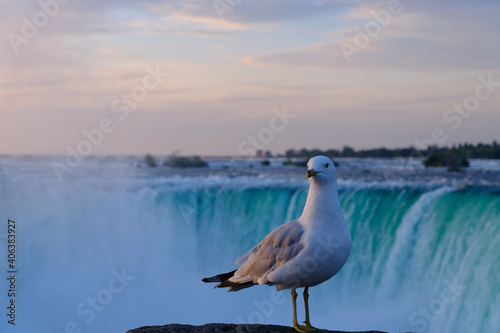 Niagara Falls from the Canadian Side
