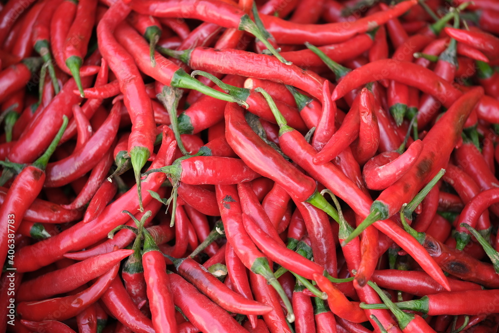 Indonesia Bali Negara - Pasar Umum Negara - State Public Market - Hot red chili peppers