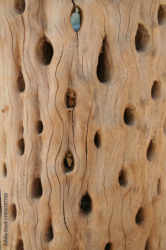 wood texture