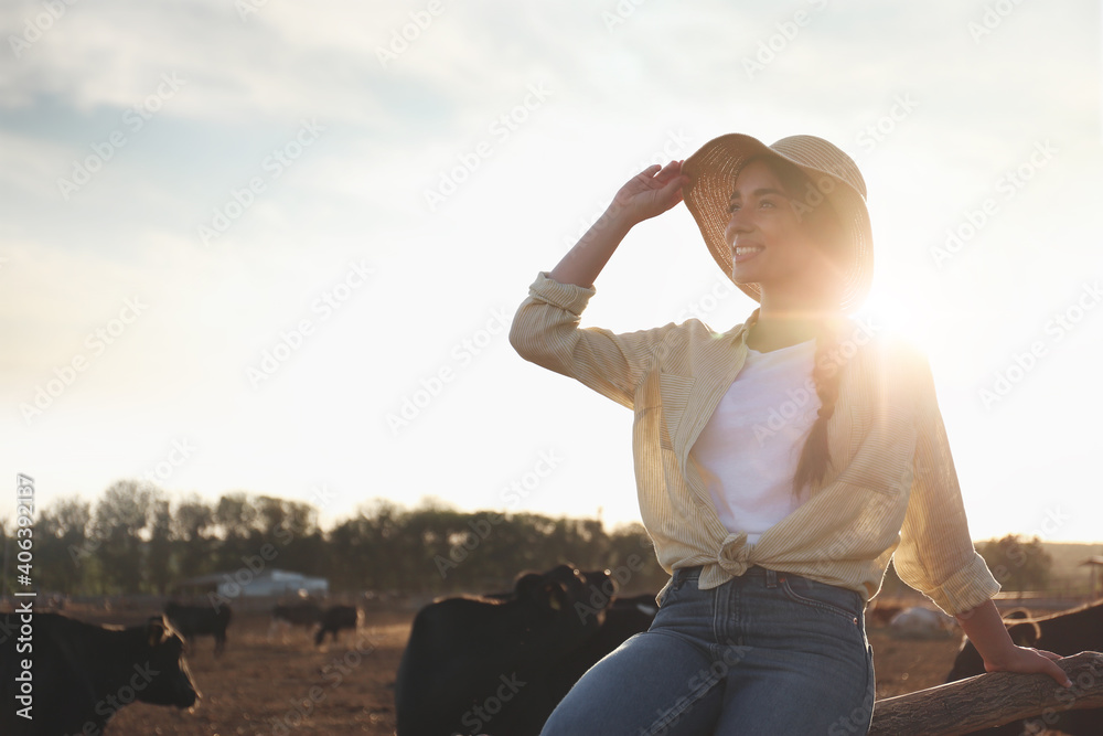 Young woman sitting on fence near cow pen outdoors. Animal husbandry
