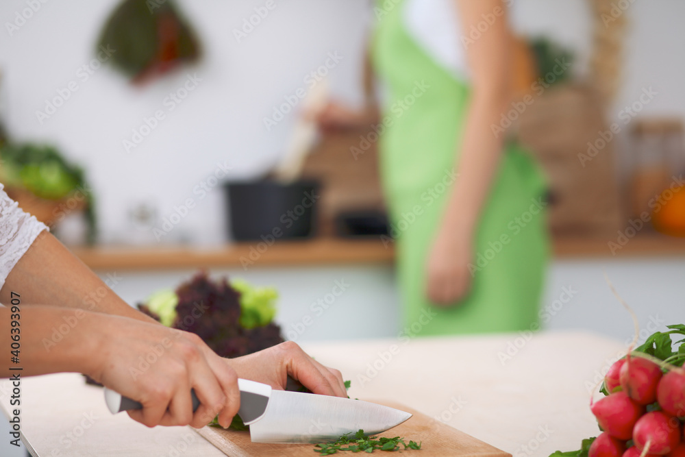 Fototapeta premium Close-up of human hands cooking vegetables salad in kitchen. Healthy meal and vegetarian concept